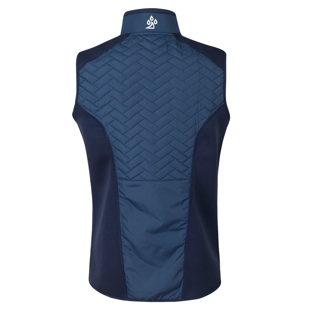 Mens DP World Tour Gust Gilet - Navy - Back